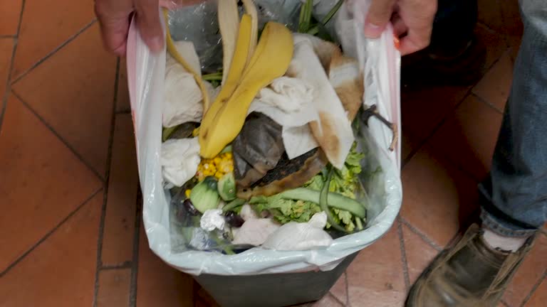 Best Same-Day Junk Removal Services  in South Windham, CT