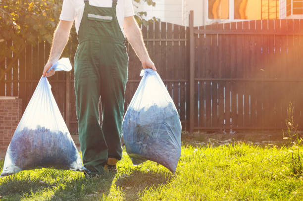 Best Dumpster Rental Services  in South Windham, CT